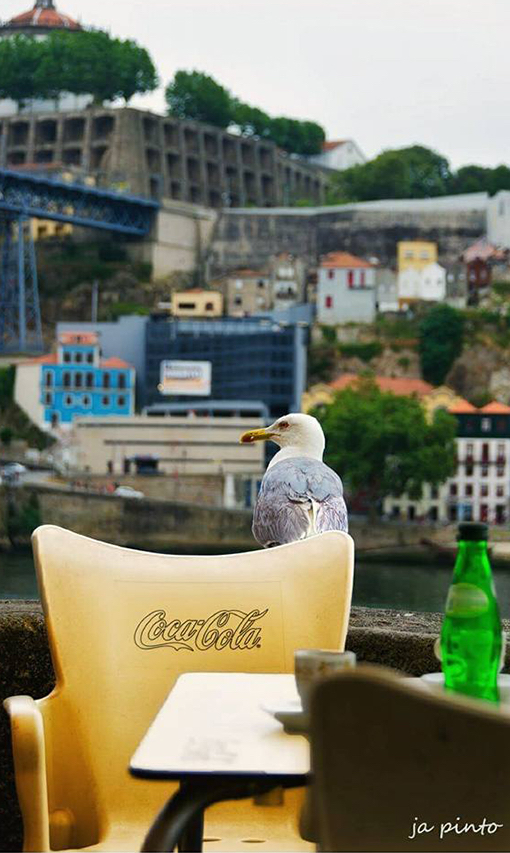 Relax in Porto
