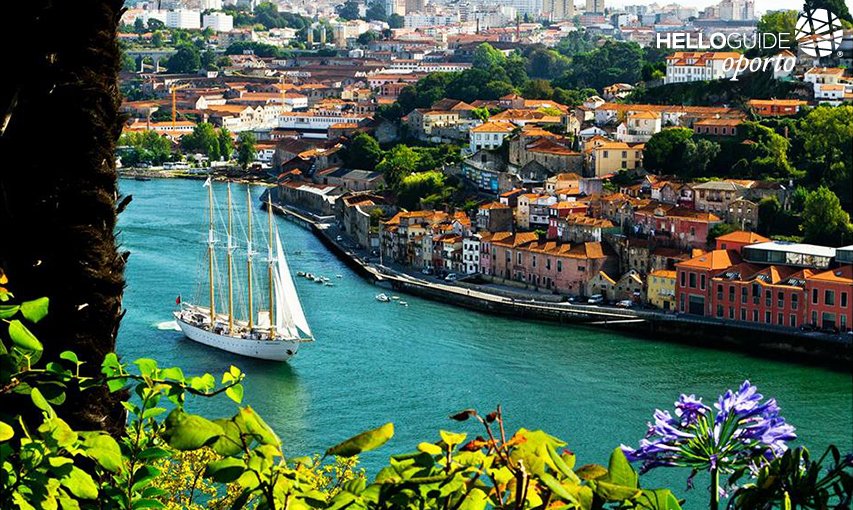 Florida window to the Douro