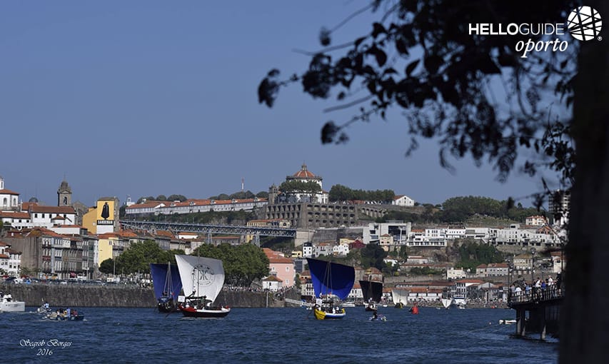 Dia movimentado no rio Douro