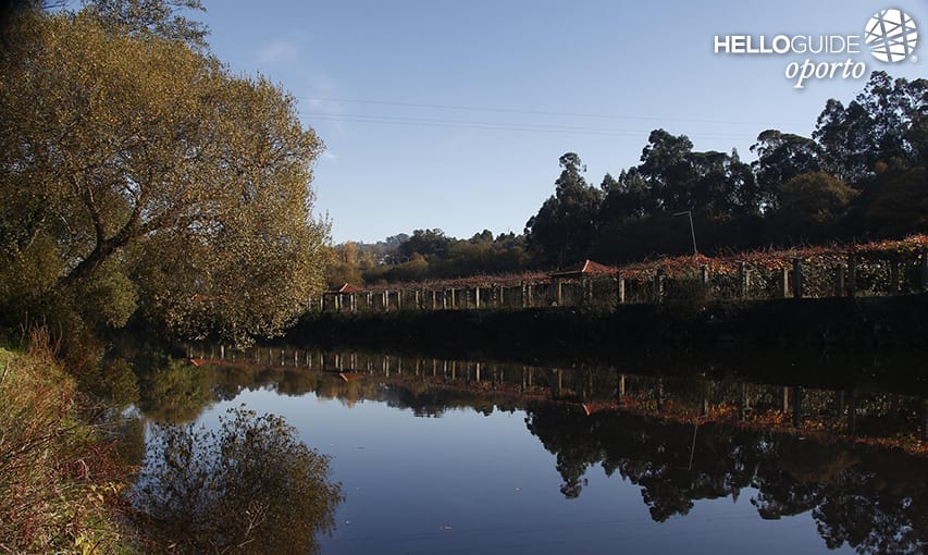 River Ave - Санто Тирсо