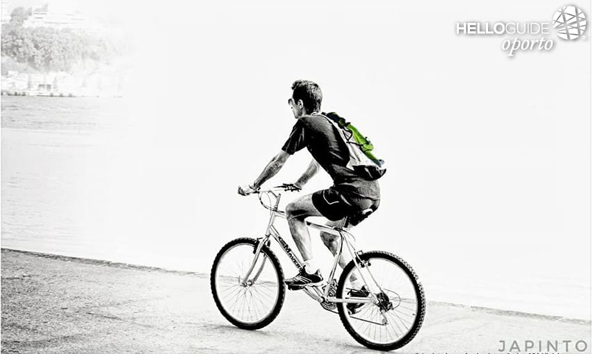 Frohes Neues Jahr 2017