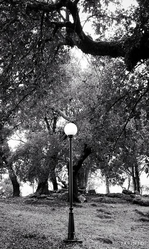 черное и белое