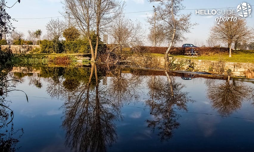 Рио-Феррейра