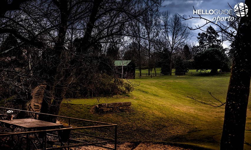 Гольф Кинта Fojo