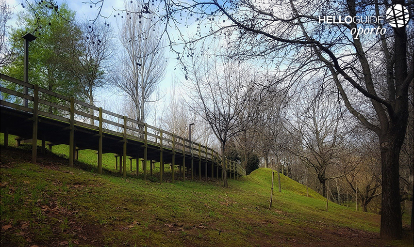 В разгар природы