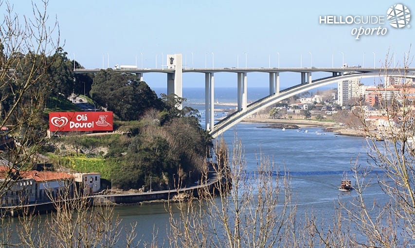 Привет Дору