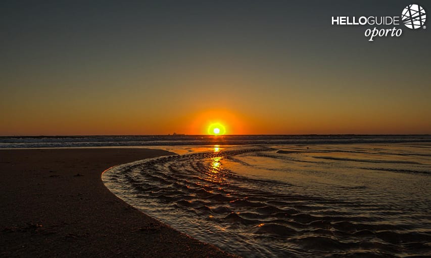 В Леха-да-Палмейре