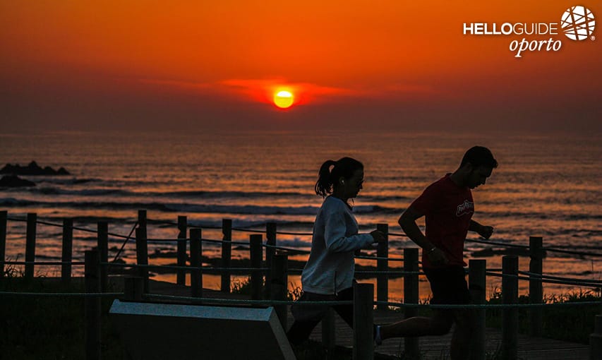 Доброе утро, Леша да Палмейра