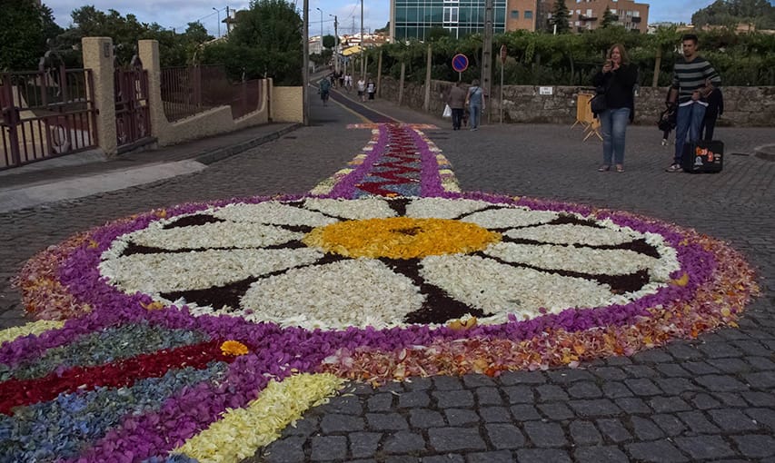 Unsere Dame von Amparo Alfena