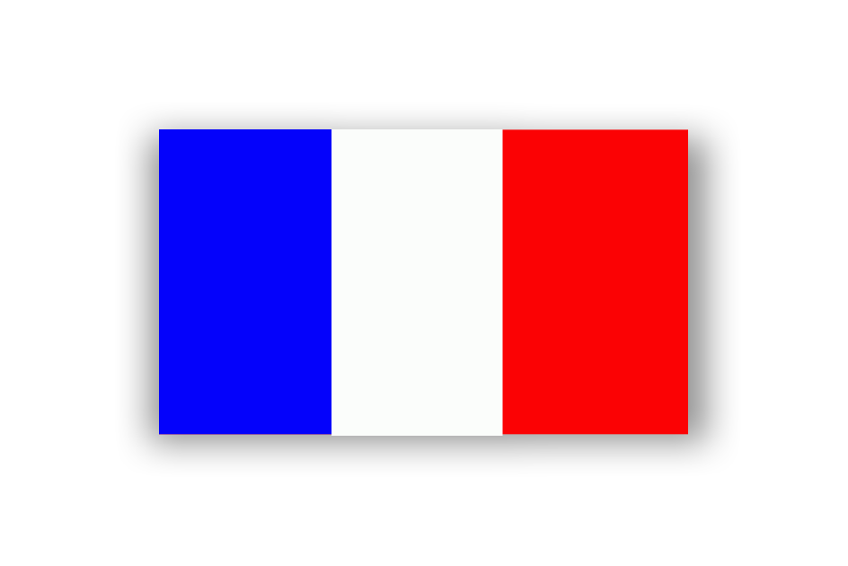 General Consulate of France