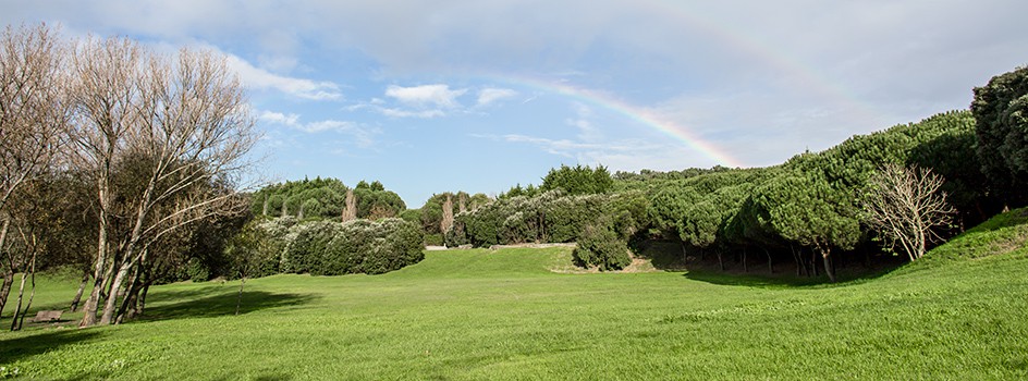 Parc da Cidade