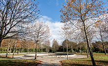 Городской парк