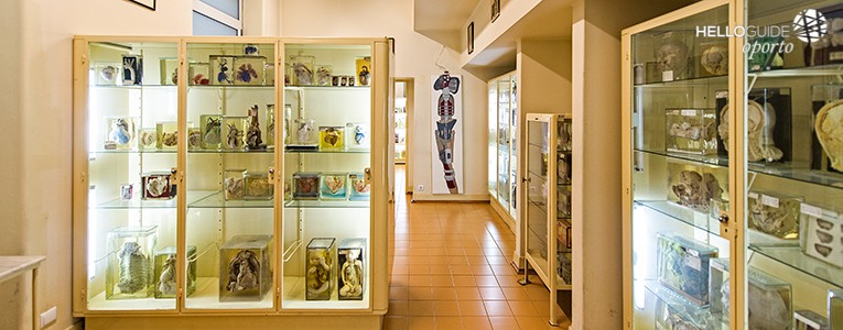 museum of anatomy oporto helloguide 01