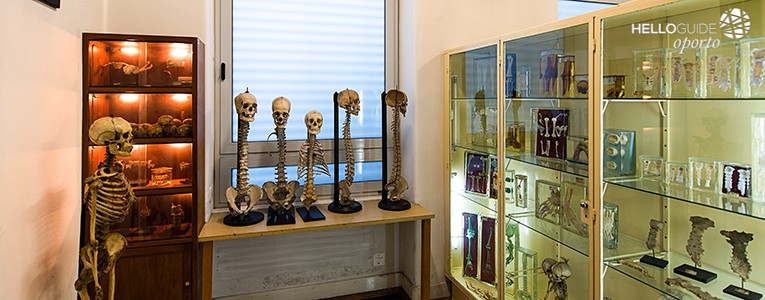 museum of anatomy oporto helloguide 03