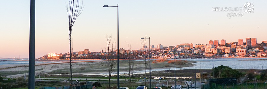 observacao de aves oporto helloguide 03