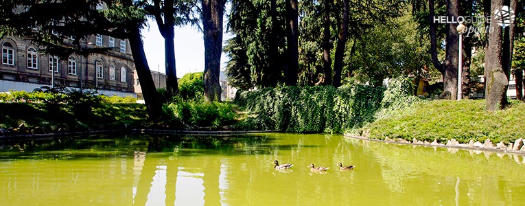 jardim do carregal oporto helloguide 01