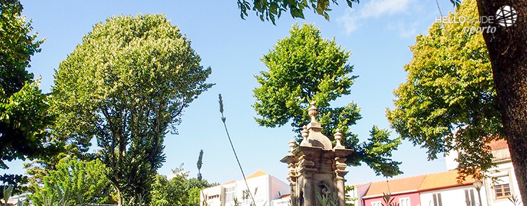 jardim do largo da maternidade julio dinis oporto helloguide 03