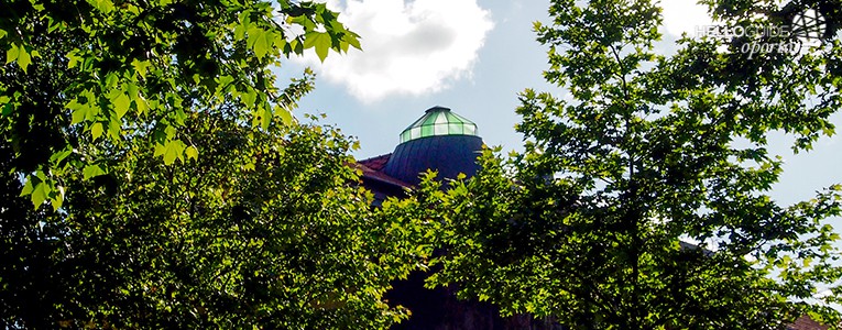 jardim do marques de pombal oporto helloguide 03