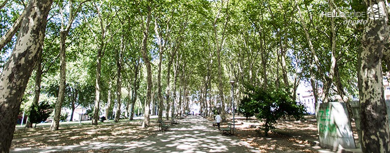 praca da corujeira oporto helloguide 01