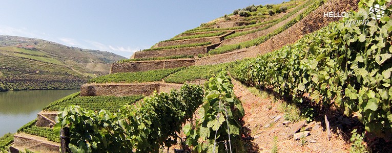 fora do porto helloguide 06