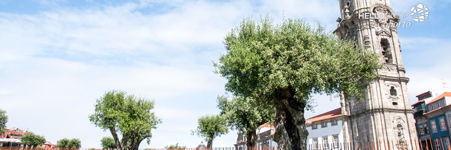 oporto in 2 days oporto helloguide 05