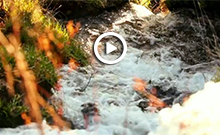 Congresos, incentivos y eventos en Porto y Norte de Portugal