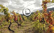 Naturaleza en Oporto y Norte de Portugal