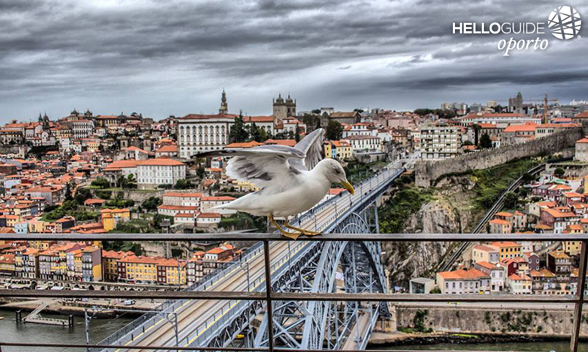 Щелчок в нужное время