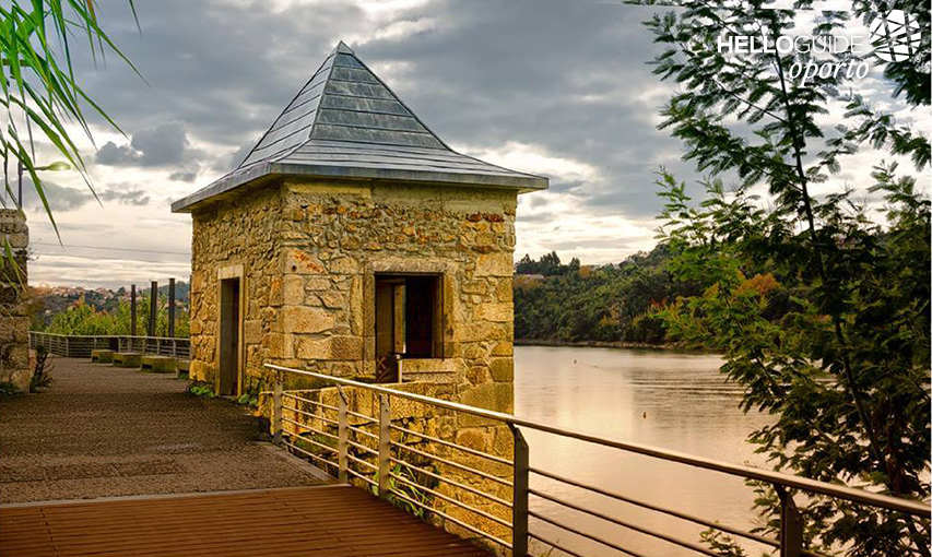 Взгляд Марины сделать Freixo