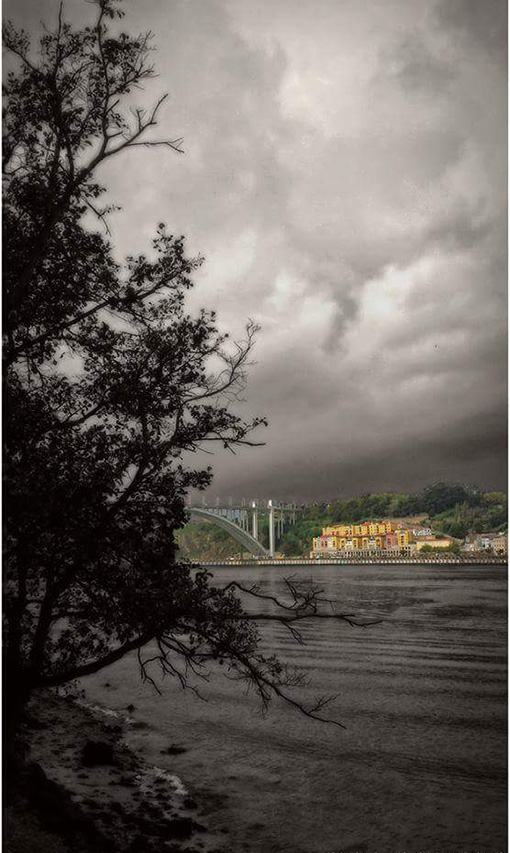 Осенние краски