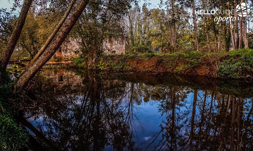 La naturaleza junto al río Leça